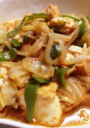 もやしとキャベツと厚揚げの豆板醤味噌炒め-レシピのメイン写真