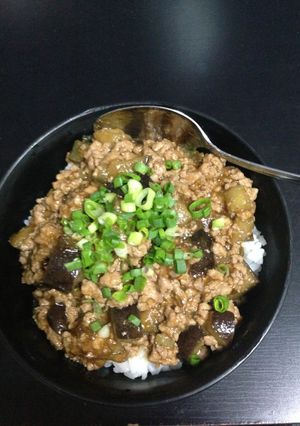 元気いっぱい麻婆茄子丼-レシピのメイン写真