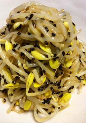 豆もやしの黒ごま和え-レシピのメイン写真