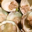 貝好きにはたまらない!はまぐり酒蒸し