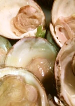 貝好きにはたまらない！はまぐり酒蒸し-レシピのメイン写真