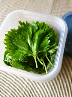 大葉の保存法-レシピのメイン写真