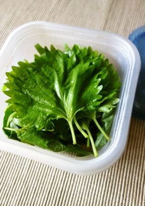 大葉の保存法-レシピのメイン写真