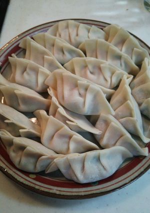 冷蔵庫片付け餃子-レシピのメイン写真
