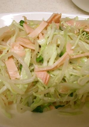 節約☆もやし&かいわれのレモンサラダ-レシピのメイン写真