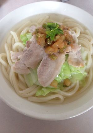 すぐ出来る！シャキッと冷しゃぶうどん-レシピのメイン写真