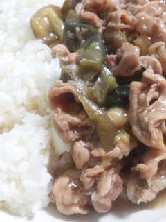 なすとズッキーニと豚肉丼-レシピのメイン写真
