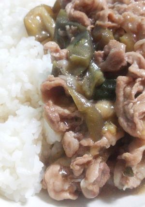 なすとズッキーニと豚肉丼-レシピのメイン写真
