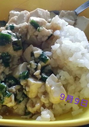 麻婆豆腐-レシピのメイン写真
