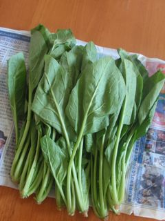 これで長持ち!ほうれん草の保存法-レシピのメイン写真