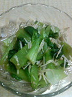 チンゲン菜とえのきのさっぱり梅昆布茶和え-レシピのメイン写真