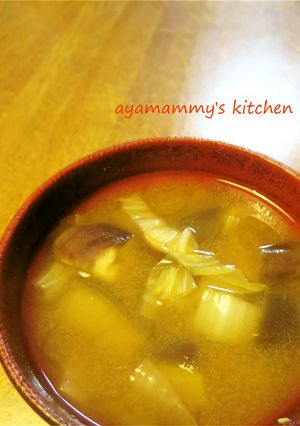なすと白菜のお味噌汁✿-レシピのメイン写真