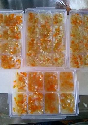 6種の野菜のみスープと具 (離乳食)-レシピのメイン写真