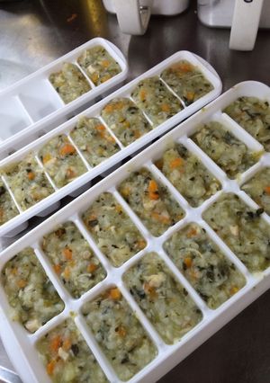 離乳食 ストック 炊き込み粥 覚書-レシピのメイン写真
