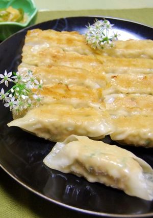 台湾風オカラ入りもやし餃子-レシピのメイン写真