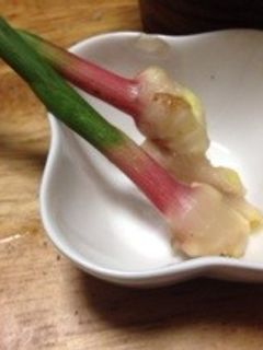 ビールがススム!谷中生姜の味噌漬け-レシピのメイン写真