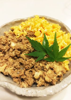 豆腐でカサ増し!子供も食べやすいそぼろ丼-レシピのメイン写真