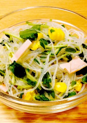 豆苗入り簡単春雨サラダ☆-レシピのメイン写真
