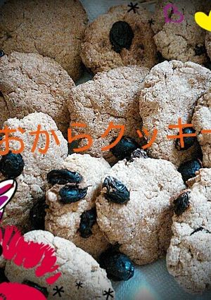 ダイエットに！レーズンおからクッキー♡-レシピのメイン写真