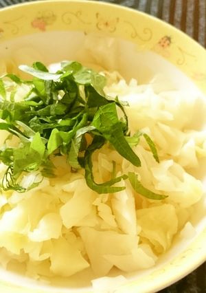 キャベツのレモン塩もみ-レシピのメイン写真