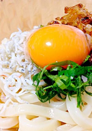 しらすとフライドオニオンのぶっかけうどん-レシピのメイン写真