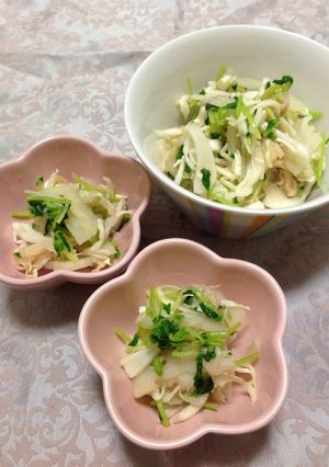 節約レシピ！豆苗とあり合わせのサラダ-レシピのメイン写真