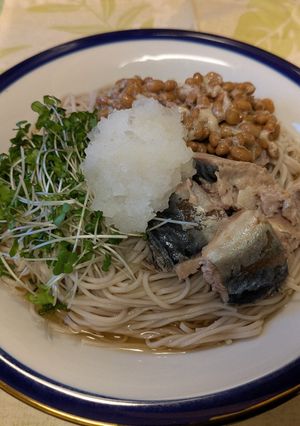 サバ缶と納豆の冷たいお蕎麦-レシピのメイン写真