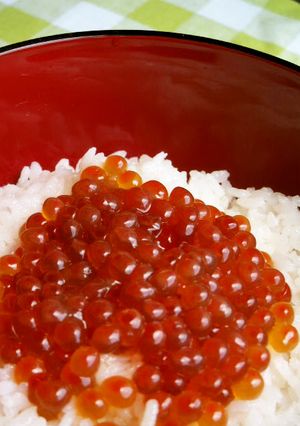 びっくり簡単！いくら丼の作り方♪-レシピのメイン写真
