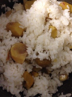 蜂蜜 de 栗ごはん-レシピのメイン写真