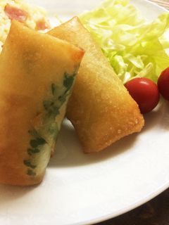 ささみチーズの春巻き-レシピのメイン写真