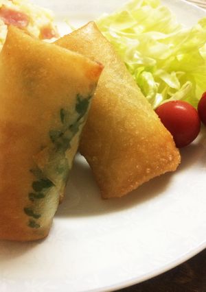 ささみチーズの春巻き-レシピのメイン写真