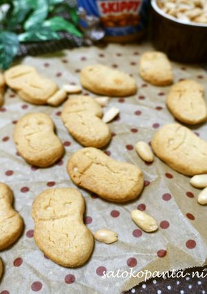 ビニール袋で☆ピーナッツチャンククッキー-レシピのメイン写真