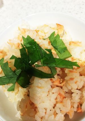 鮭ごはん-レシピのメイン写真