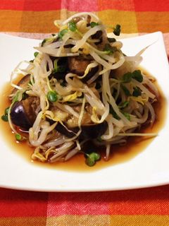 もやしとなすのさっぱりサラダ-レシピのメイン写真