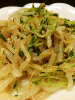 豆苗ともやしのごまポン和え♪-レシピのメイン写真