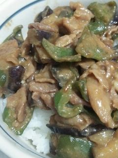 豚肉となすとピーマンの味噌炒め-レシピのメイン写真