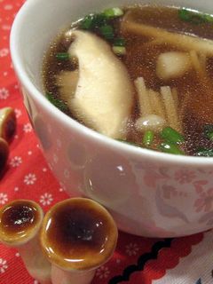 ぽん酢で☆キノコの旨みスープ-レシピのメイン写真