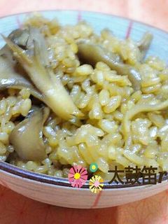 簡単♪舞茸ごはん-レシピのメイン写真