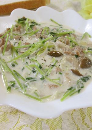 豆苗と豚肉のミルク仕立て-レシピのメイン写真