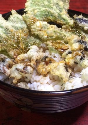コオロギとスズメバチの天ぷら丼-レシピのメイン写真