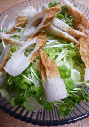 レタス・かいわれ・ちくわのサラダ-レシピのメイン写真