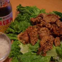 รูปของ おろし豚から☆彡
