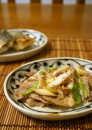 お弁当に☆塩麹豚肉とネギのソテー-レシピのメイン写真