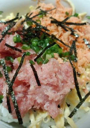 簡単ネギトロ&シャケ丼-レシピのメイン写真