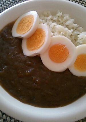 とろとろ茄子カレー-レシピのメイン写真
