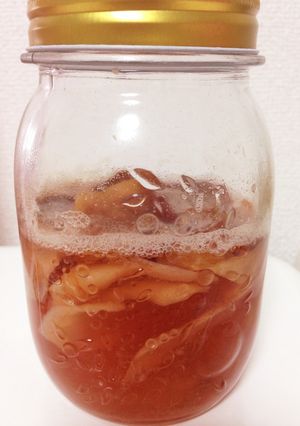 桃の皮・種で自家製天然酵母-レシピのメイン写真