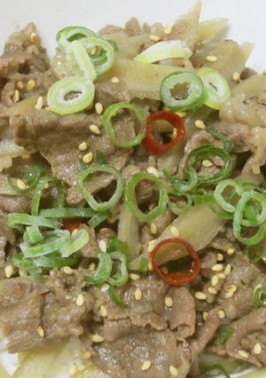 簡単♪牛肉とごぼうのピリ辛牛丼-レシピのメイン写真