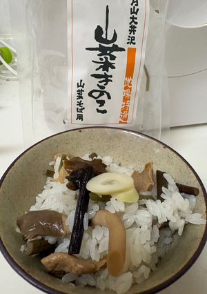 山菜ご飯-レシピのメイン写真