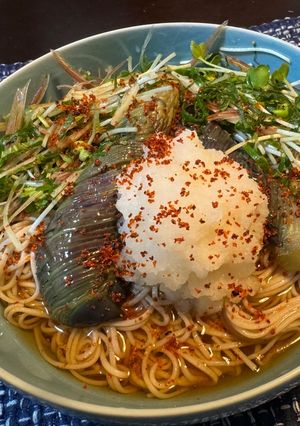 ナスの煮びたしと大根おろしの和え蕎麦-レシピのメイン写真
