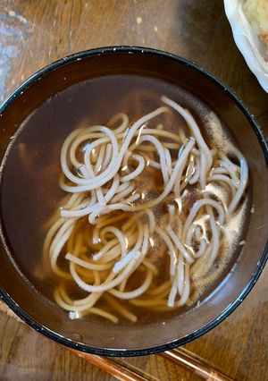 お一人様☆HOTでさっぱりざる蕎麦麺汁-レシピのメイン写真